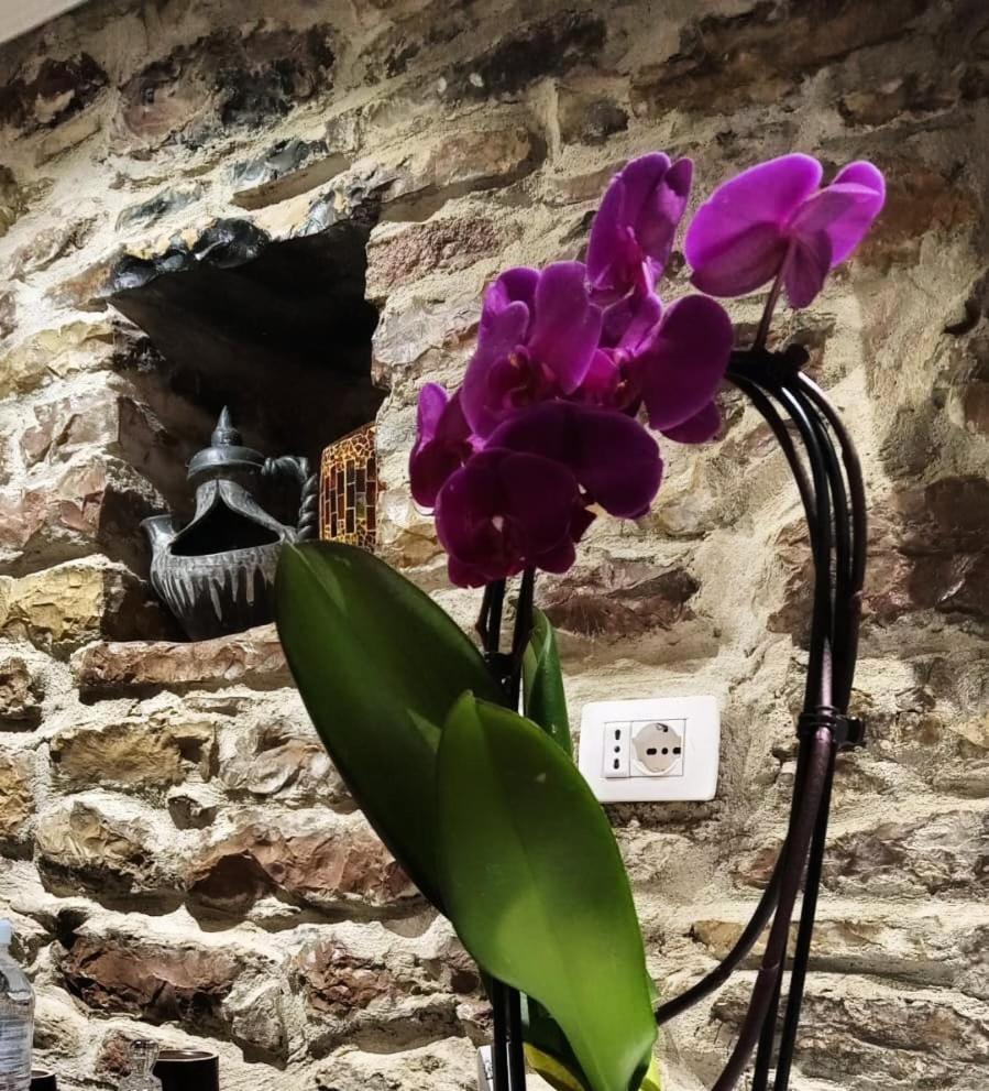 "Villa 70" Guesthouse Gjirokaster Bagian luar foto